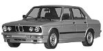 BMW E28 C2894 Fault Code